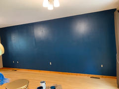 Barrydowne Paint REGAL® Select Interior Paint Review