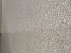 Barrydowne Paint Waterborne Ceiling Paint Review