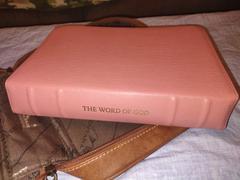 Humble Lamb NKJV Shepherd - Rose Gold Review