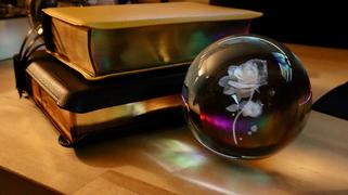 Humble Lamb NASB HIStory - Lunar Yellow Review