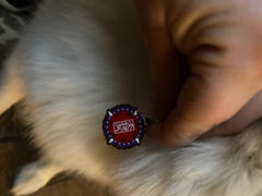 Pawsonify Inuyasha Collar Review