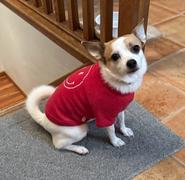 Style Trolley Smiley Face Dog Sweatshirt Review