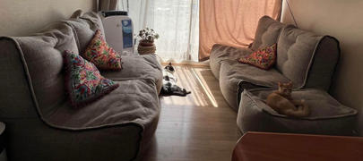 Ambient Lounge Chile Quad Couch - Eco Weave Review