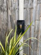Lampsy Nomad Glass Box Lantern Review