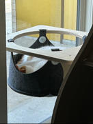 Meowingtons  Jungle Gym Cat Tree 2.0 Review