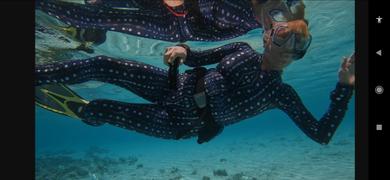 Slipins DiveSkins/SurfSkins - Whale Shark - Zippered Review