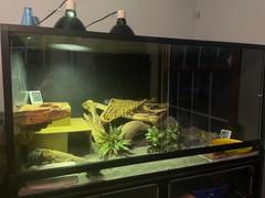 enclosure pvc reptile x2 panel