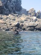 A Drop in the Ocean Baja EcoWarrior Retreat 2023 Review