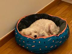 Vanillapup FuzzYard Reversible Pet Bed | Sorrento Review