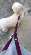 Vanillapup Dog + Bone Multi-way Adjustable Leash | Purple Review