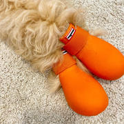 Vanillapup Wagwear WagWellies™ Dog Boots | Orange Review