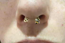 Ouferbodyjewelry 16G/ 18G Gold Honeybee Septum Ring Horseshoe Helix Earring Review