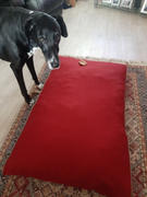 petslovescruffs Hilton Orthopedic Dog Bed Mattress - Burgundy Review
