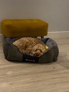 petslovescruffs Chester Box Dog Bed - Graphite Grey Review