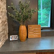 RusticReach Artificial Fruit Large Olive Stem 41 Tall Review