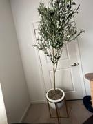 RusticReach Artificial Olive Tree Review