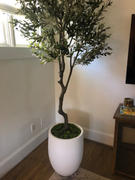 RusticReach Large Artificial Olive Tree Review