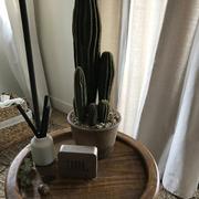 RusticReach Artificial Cactus in Brown Pot Review