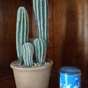 RusticReach Artificial Cactus in Brown Pot Review