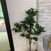 RusticReach Artificial Fig Tree Review