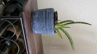 RusticReach Pants for Plants Blue Jeans Cement Flower Pot Review