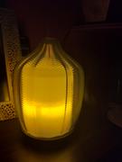 Rebecca Tracey Glass Aroma Diffuser - Amber Fern Review