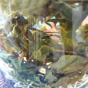 Happy Earth Tea Alishan Qingxin Oolong Tea - Winter 2021 Review