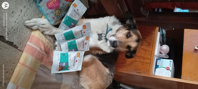 FarmaHabit ARTRO PETS Review