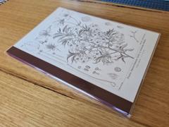 Bunbougu.com.au Midori MD Notebook Cover - Clear - A5 Review