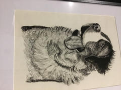 Bunbougu.com.au Sakura Pigma Micron Fineliner Pen - Black Ink Review