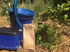 KIS Organics Compost Tea Brewing Kits - FREE SHIPPING Review