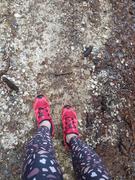 Alpine Princess Summit Hike Low Ankle Socks - Deep Ocean Review