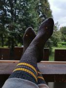 Alpine Nation Abisko Full Cushion Merino Crew Socks - Larch Yellow Review