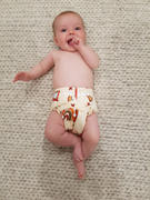My Little Gumnut Modern Cloth Nappy - Rainbow (Earth Tones) Review