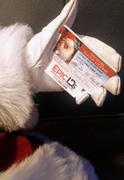 Epic IDs Santa Claus Official Sleigh License [Photo Personalized] Review