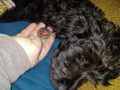 USA Service Animal Registration Emotional Support Animal ID Package Includes ID Card, Tag & Digital Certificate Review