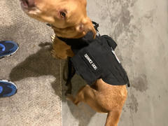 USA Service Animal Registration Heavy Duty Tactical Dog Vest & Leash Review
