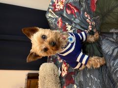 Togpetwear Toronto Maple Leafs NHL V-Neck Dog Sweater Review