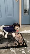 Togpetwear Toronto Maple Leafs NHL Dog Jacket (NEW) Review