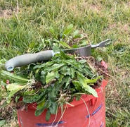 Hoselink Garden Weeder Review