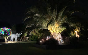 Hoselink Adjustable Solar Garden Spotlight | Ground Spike | 5LED | FOCUS Review