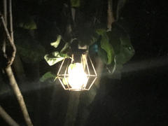 Hoselink Industrial Style Solar Lantern | 2LED | Filament Globe | RUSTICA Review