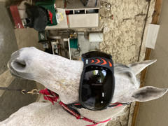 Equidiva Masque cheval eVysor eQuick 100% anti-UV - dark - Review