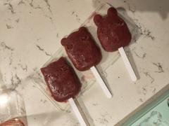 We Might Be Tiny Healthy Icy Pole Recipe Guide - A5 Booklet Review