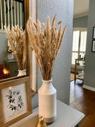 Afloral.com Pack of 6 - Smooth Natural Tan Pampas Grass - 25-29.5 Review