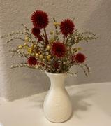 Afloral.com Burgundy Dried Echinops Thistle Flowers - 18-28 Review