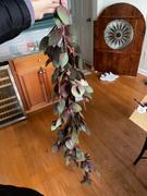Afloral.com Burgundy Green Real Touch Seeded Eucalyptus Garland - 4' Review