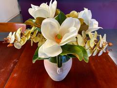 Afloral.com Beige Fake Phalaenopsis Orchid Flowers - 30 Review