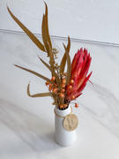 Afloral.com Pack of 6 - Dried Flower Protea Repens in Red Orange Review