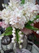 Afloral.com Pink Cream Artificial Lilac Flower - 25 Review